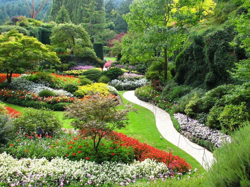Victorian Garden Tours Ltd | 145 Niagara St, Victoria, BC V8V 1G1, Canada | Phone: (250) 380-2797