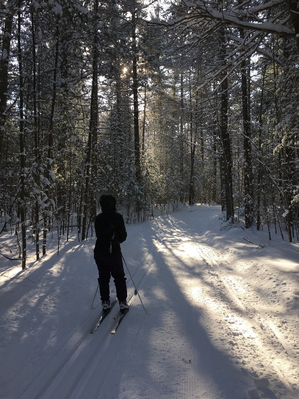 Wasaga Nordic and Trail Centre - Wasaga Beach Provincial Park | 101 Blueberry Trail, Wasaga Beach, ON L9Z 1S5, Canada | Phone: (705) 429-0943