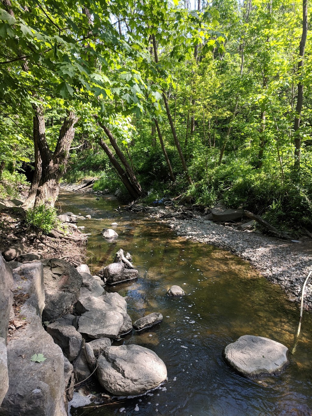 Derrydowns Park | 227 Derrydown Rd, North York, ON M3J 1S2, Canada | Phone: (416) 338-4386