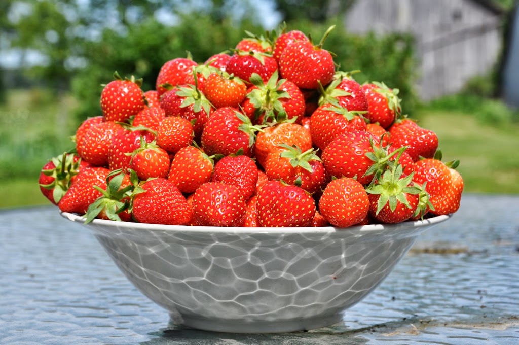 Derbyshire Farms | 121 Erie Ave S, Fisherville, ON N0A 1G0, Canada | Phone: (905) 779-0754