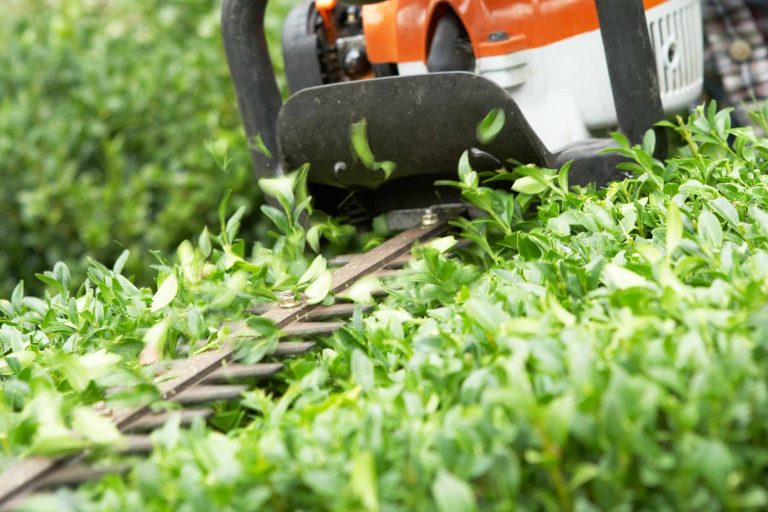 Red Bears Lawn Care | 4925 Rue de Nanterre, Pierrefonds-Roxboro, QC H9J 1W2, Canada | Phone: (514) 827-4855