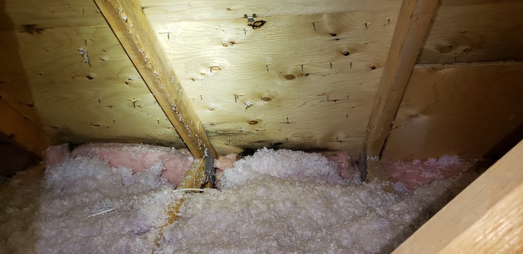 Precision Home Inspection | 121 Sir Sanford Fleming Way, Maple, ON L6A 0V3, Canada | Phone: (647) 531-6068