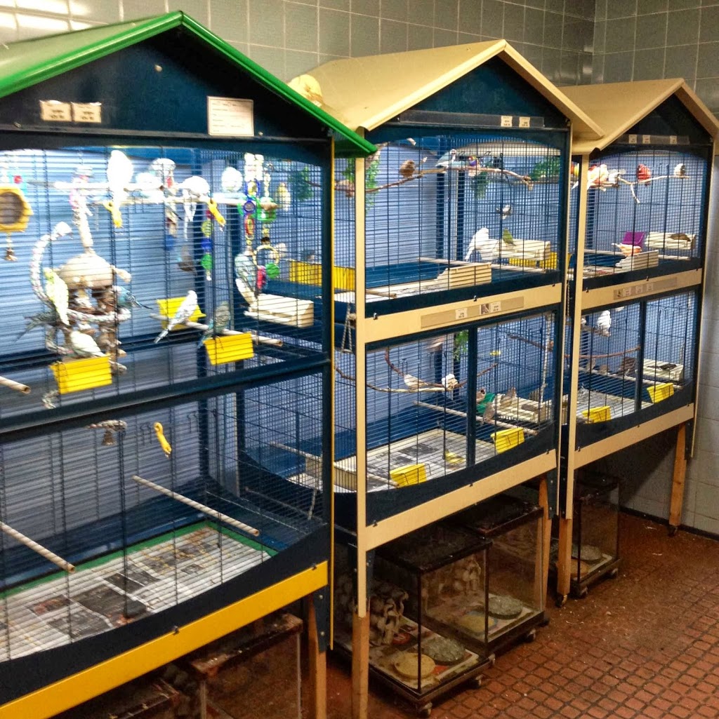 Menagerie Pet Shop | 549 Parliament St, Toronto, ON M4X 1P7, Canada | Phone: (416) 921-4966