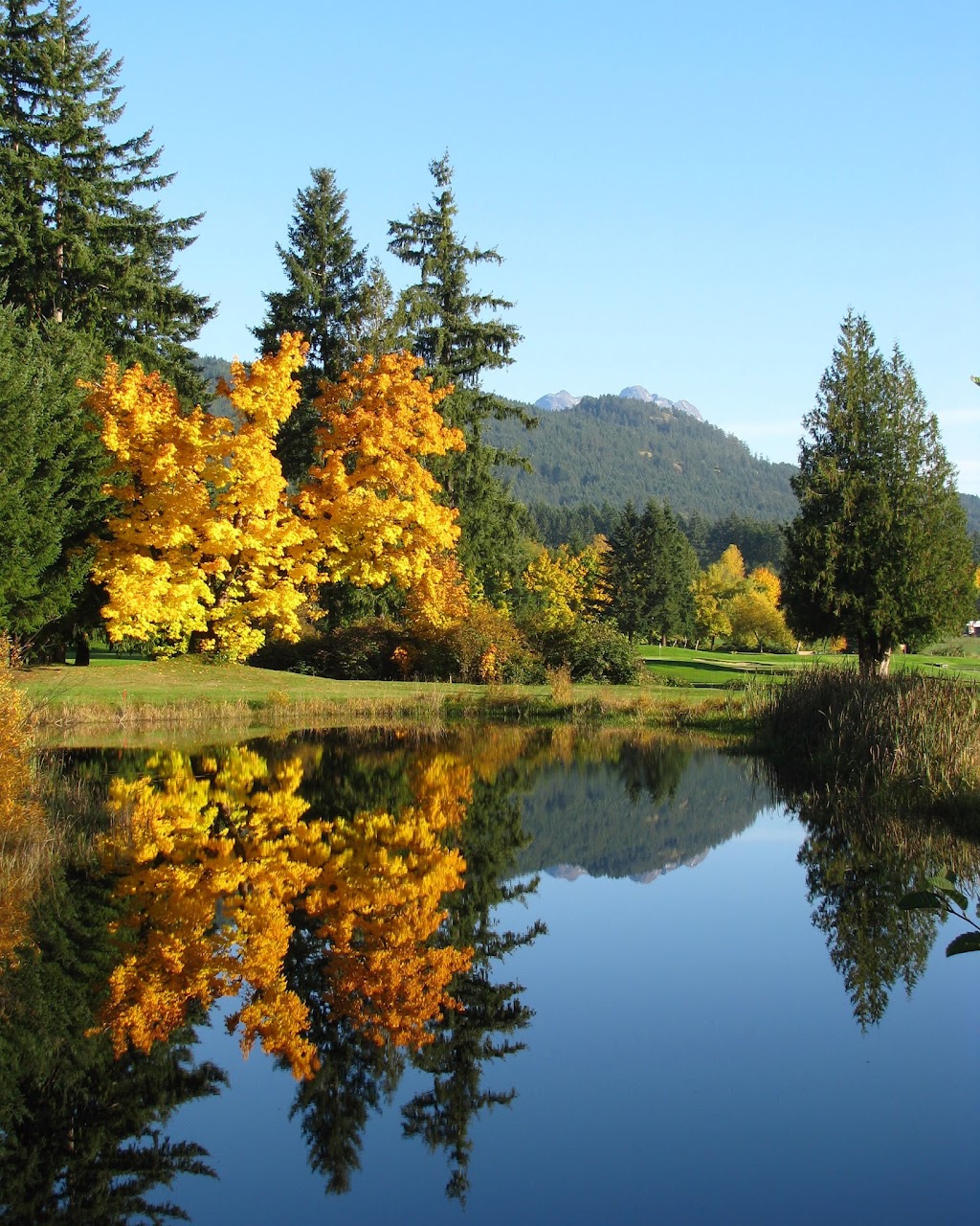 Alberni Golf Club & Restaurant | 6449 Cherry Creek Rd, Port Alberni, BC V9Y 8T3, Canada | Phone: (250) 723-5422
