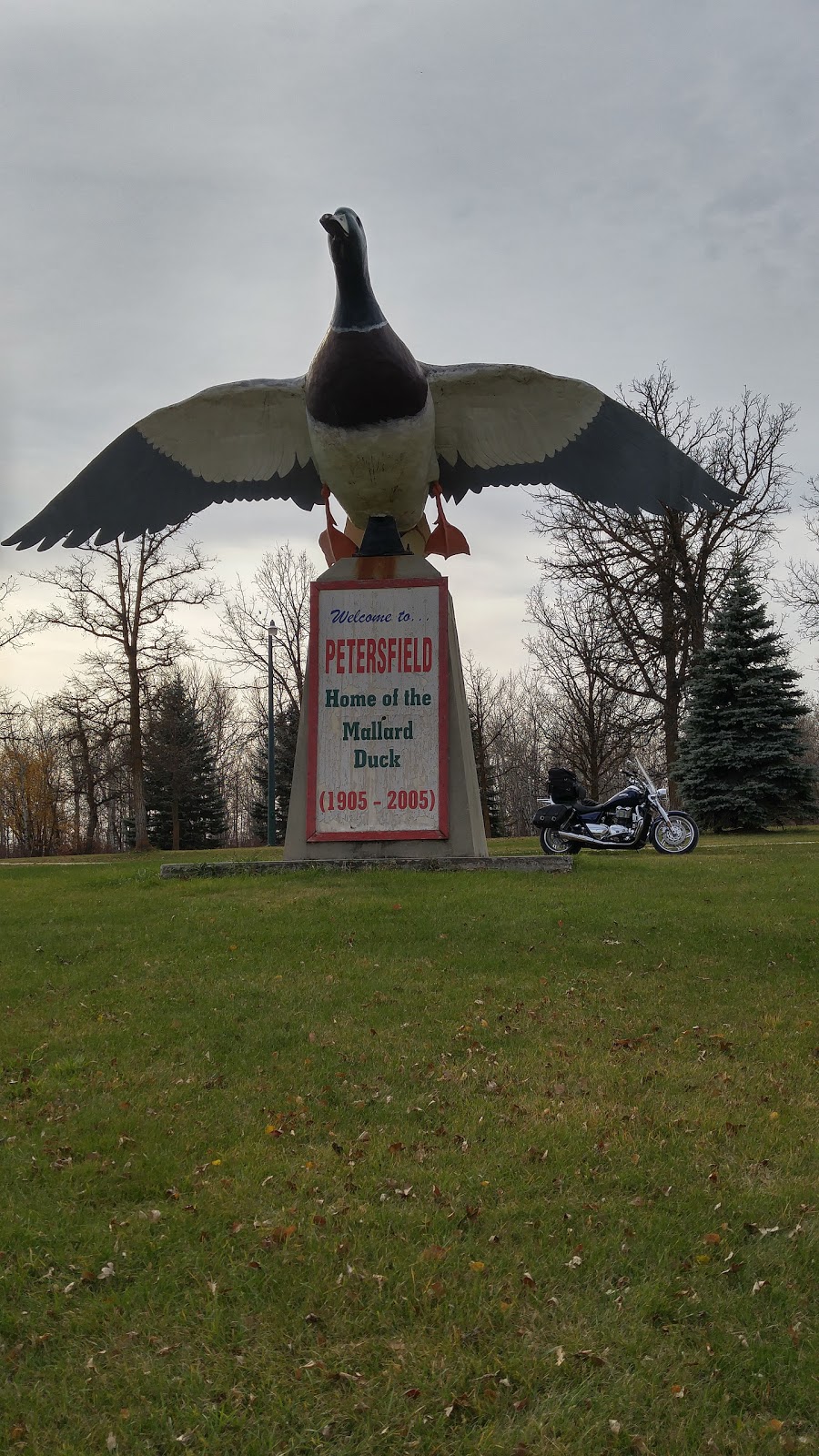Petersfield Mallard Duck Statue | 8949 Provincial Trunk Hwy 9, Petersfield, MB R0C 2L0, Canada