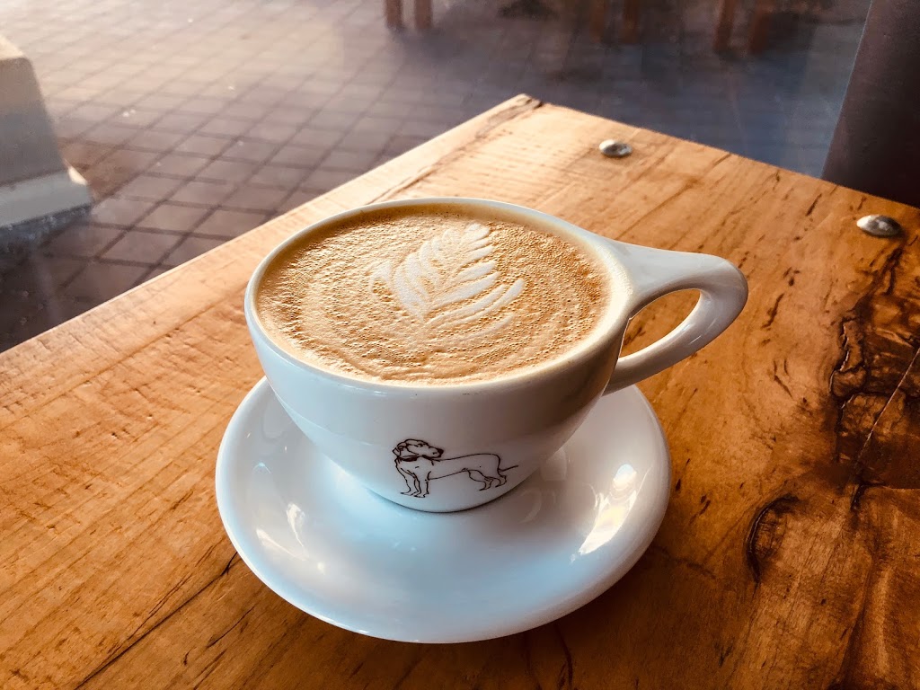Great Dane Coffee | 6011 Walter Gage Rd, Vancouver, BC V6T 0B4, Canada | Phone: (604) 558-2190