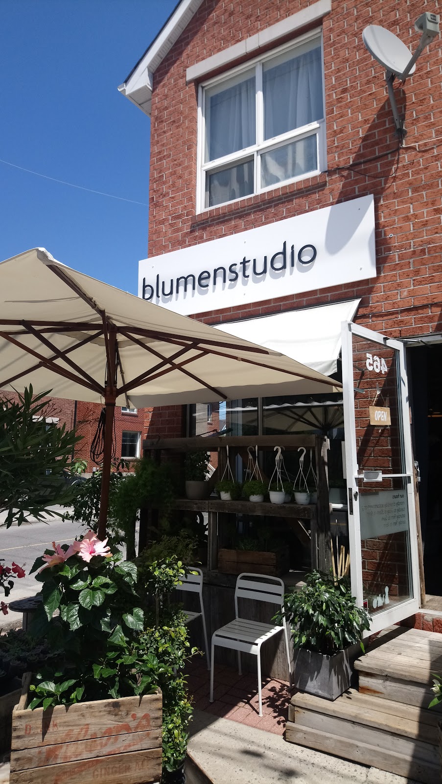 blumenstudio | 1395 Wellington St. W, Ottawa, ON K1Y 2X1, Canada | Phone: (613) 680-8400