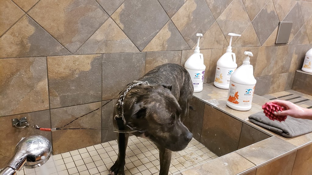 Bosleys by Pet Valu | 26310 Fraser Hwy #250, Aldergrove, BC V4W 2Z7, Canada | Phone: (604) 607-6621