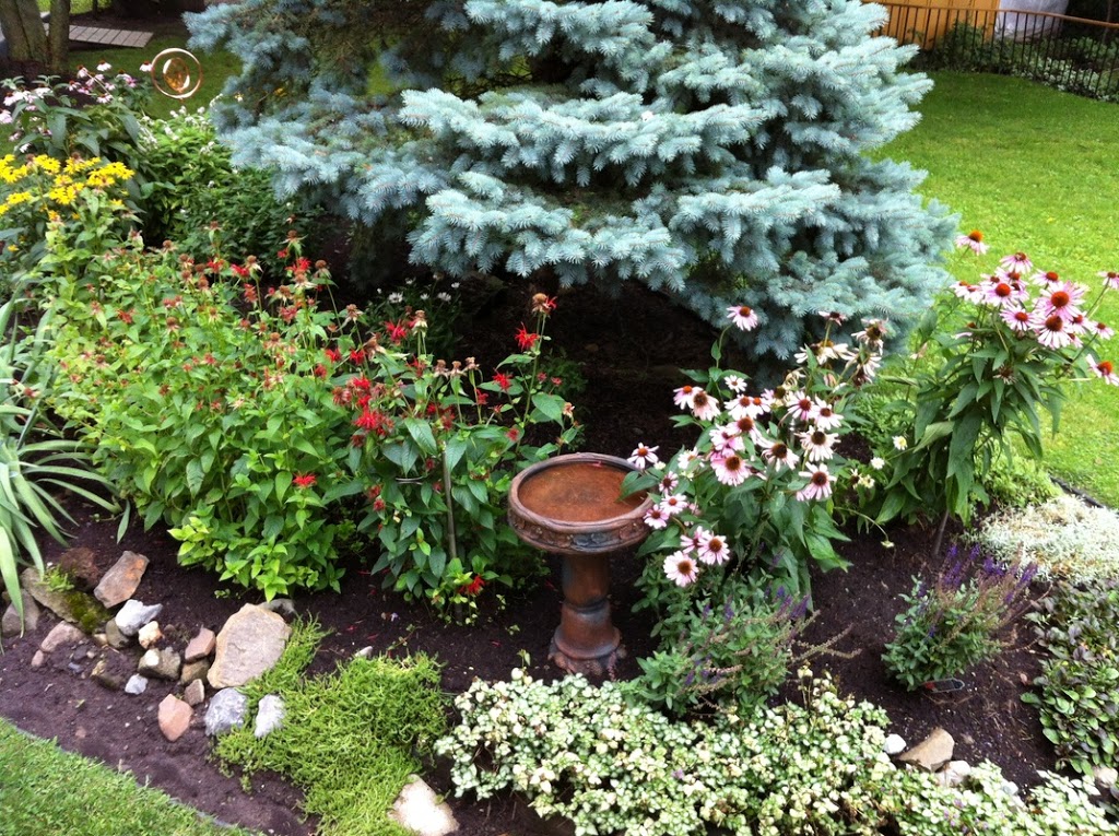 Residence Foyer Grove | 115 Rue Grove, Greenfield Park, QC J4V 2X2, Canada | Phone: (514) 917-9052
