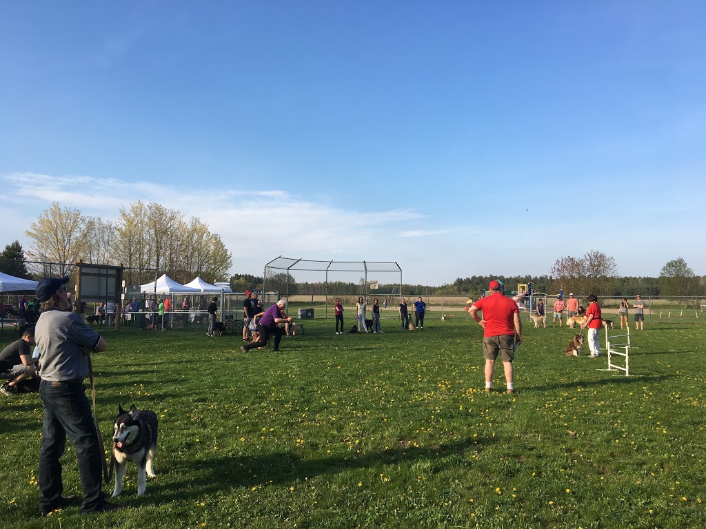 CBO Park | 2 Winterset Ave, Tiny, ON L0L 2J0, Canada | Phone: (705) 526-4204