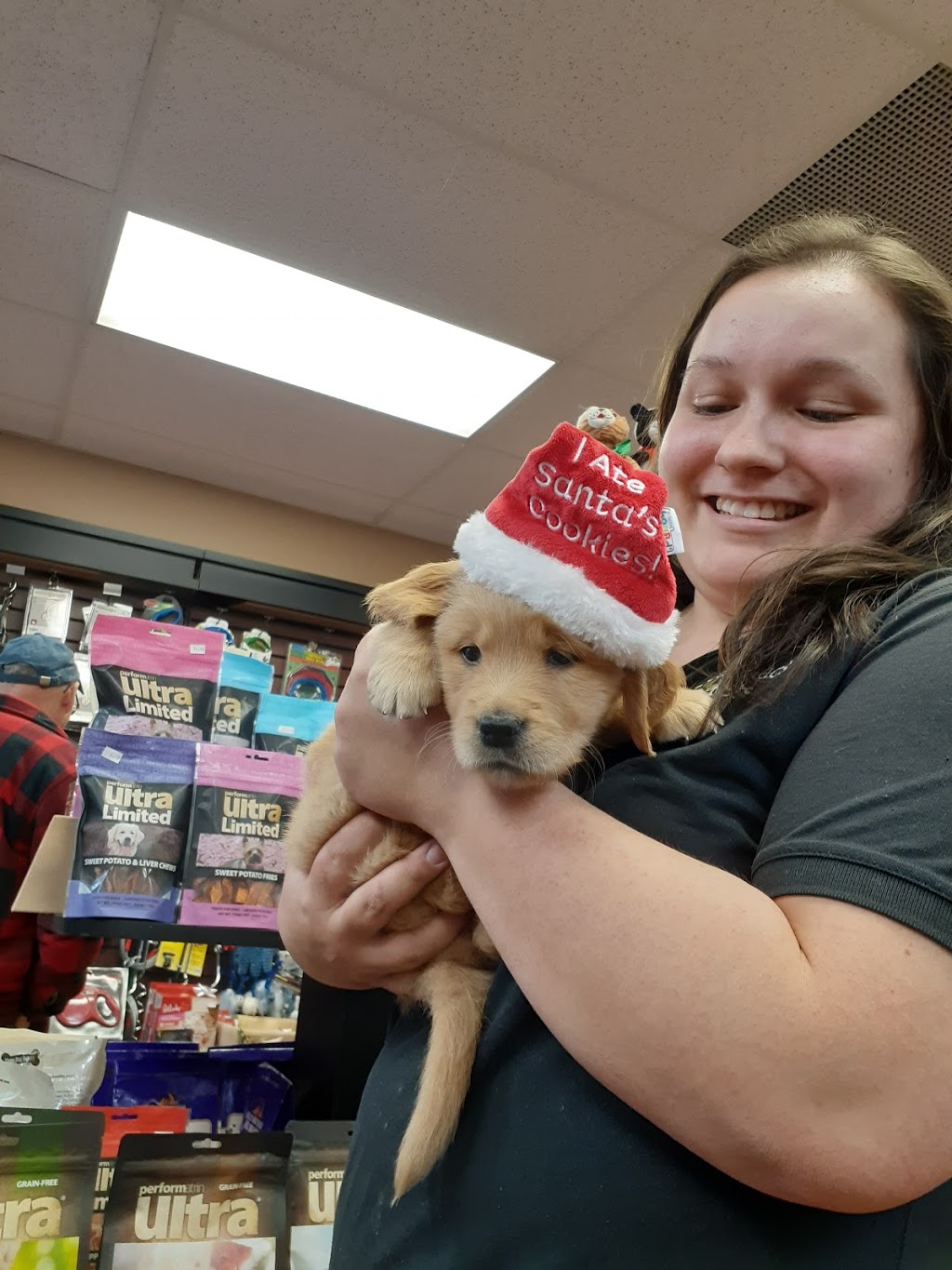 Paulmacs Pets | 144 Queen St, Lakefield, ON K0L 2H0, Canada | Phone: (705) 652-8377