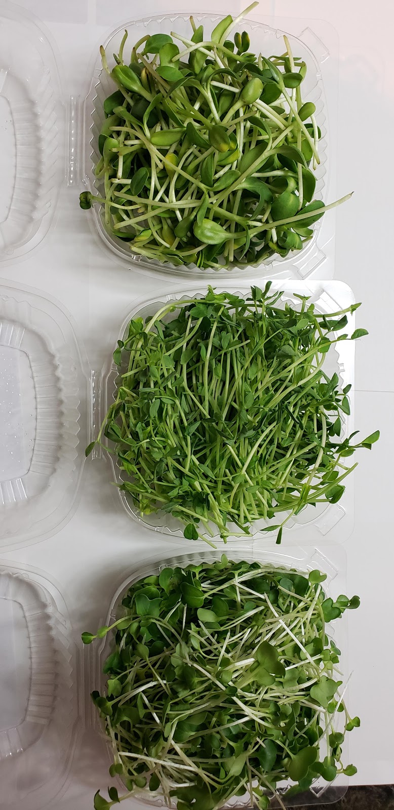 Ritas veggies farm | 4823 Thirty Rd N, Beamsville, ON L0R 1B3, Canada | Phone: (905) 587-0200
