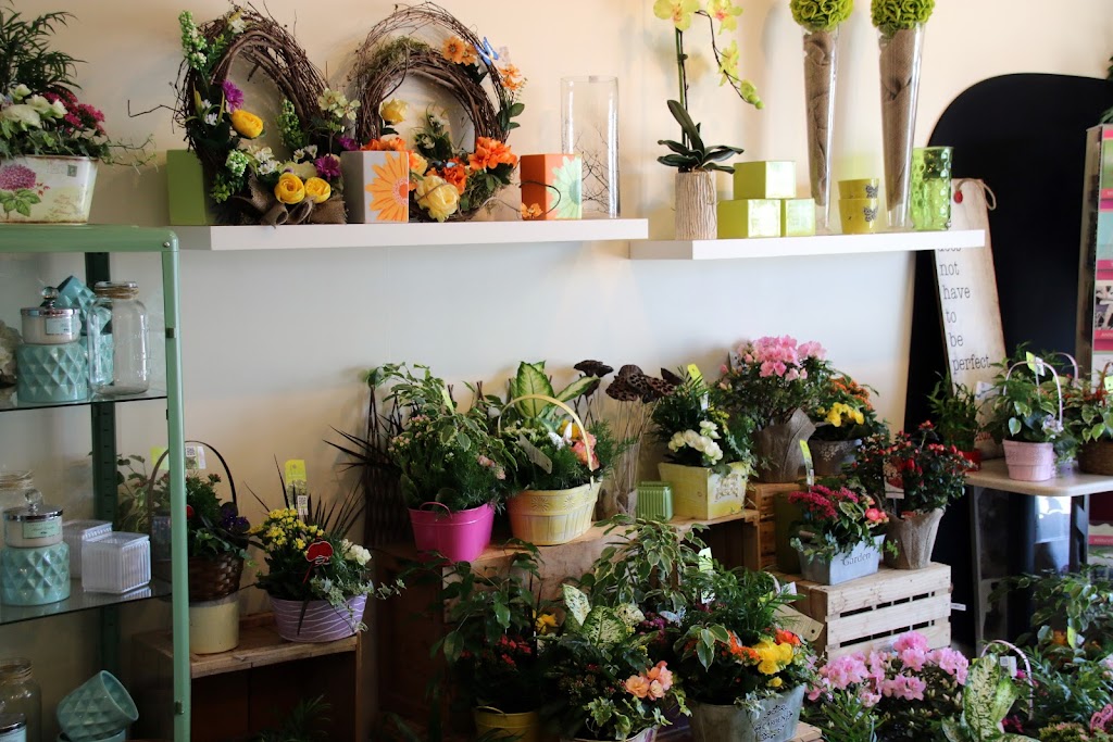 Dragonfly Flowers | 2230 McPhillips St, Winnipeg, MB R2V 3C8, Canada | Phone: (204) 633-5200