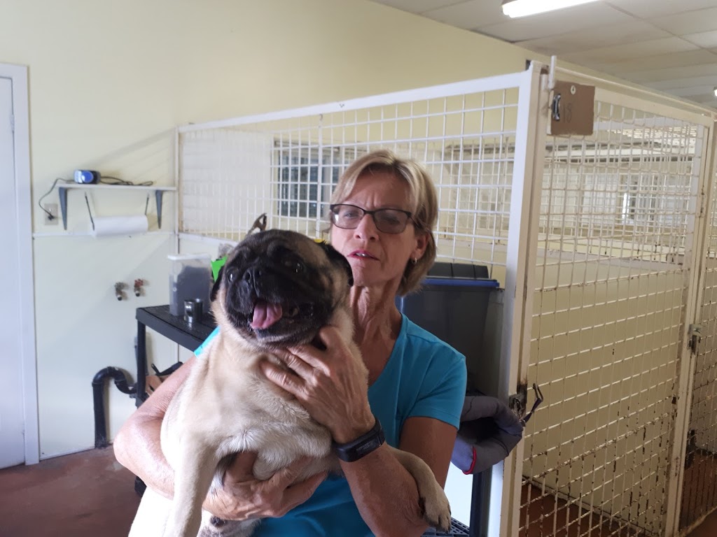 Pampered Pet Palace | 2798 S Talbot Rd, Cottam, ON N0R 1B0, Canada | Phone: (519) 733-5205