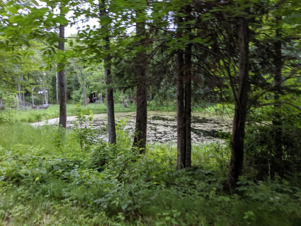 Paradise Leisure Park | 17 Chemin Wilson, Campbells Bay, QC J0X 1K0, Canada | Phone: (819) 647-8356