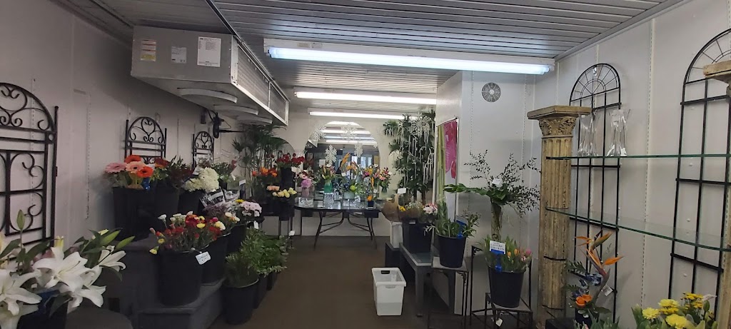 MacArthurs Flower Shop Ltd | 360 Mountain Rd, Moncton, NB E1C 2M6, Canada | Phone: (506) 857-4888