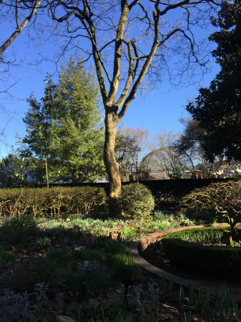 Park & Tilford Gardens | 333 Brooksbank Ave, North Vancouver, BC V7J 3S8, Canada | Phone: (604) 984-8200