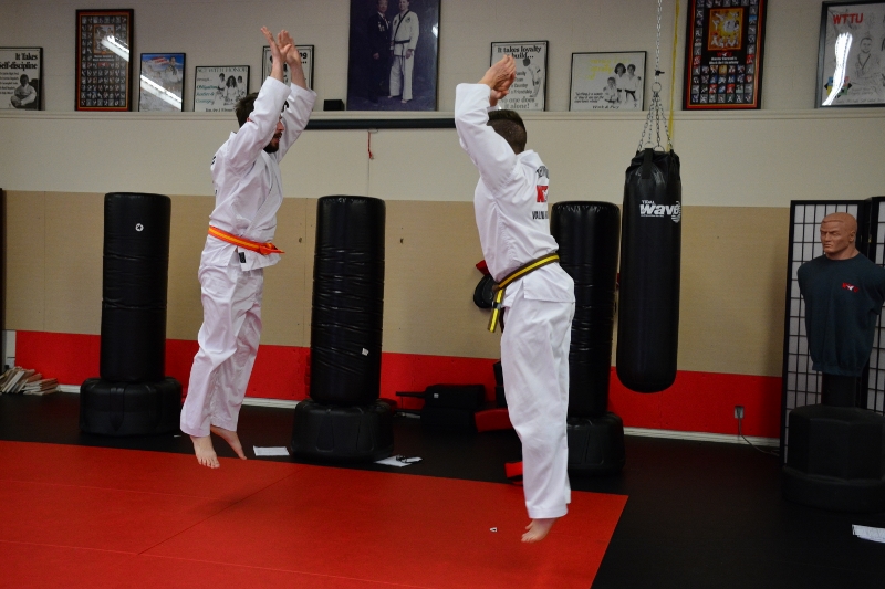 Alpha Martial Arts Inc. | 8880 202 St. #7, Langley, BC V1M 4E7, Canada | Phone: (604) 888-6645