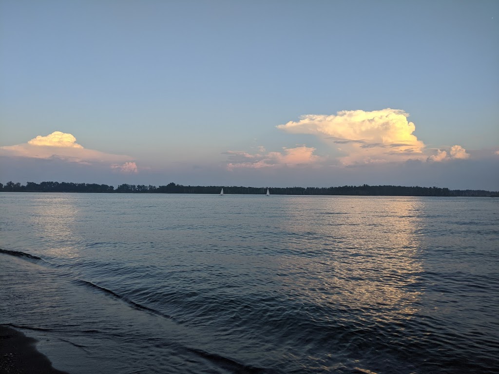 The Water Rat Sailing Club | 4 Regatta Rd, Toronto, ON M5A 0H0, Canada | Phone: (416) 712-7444