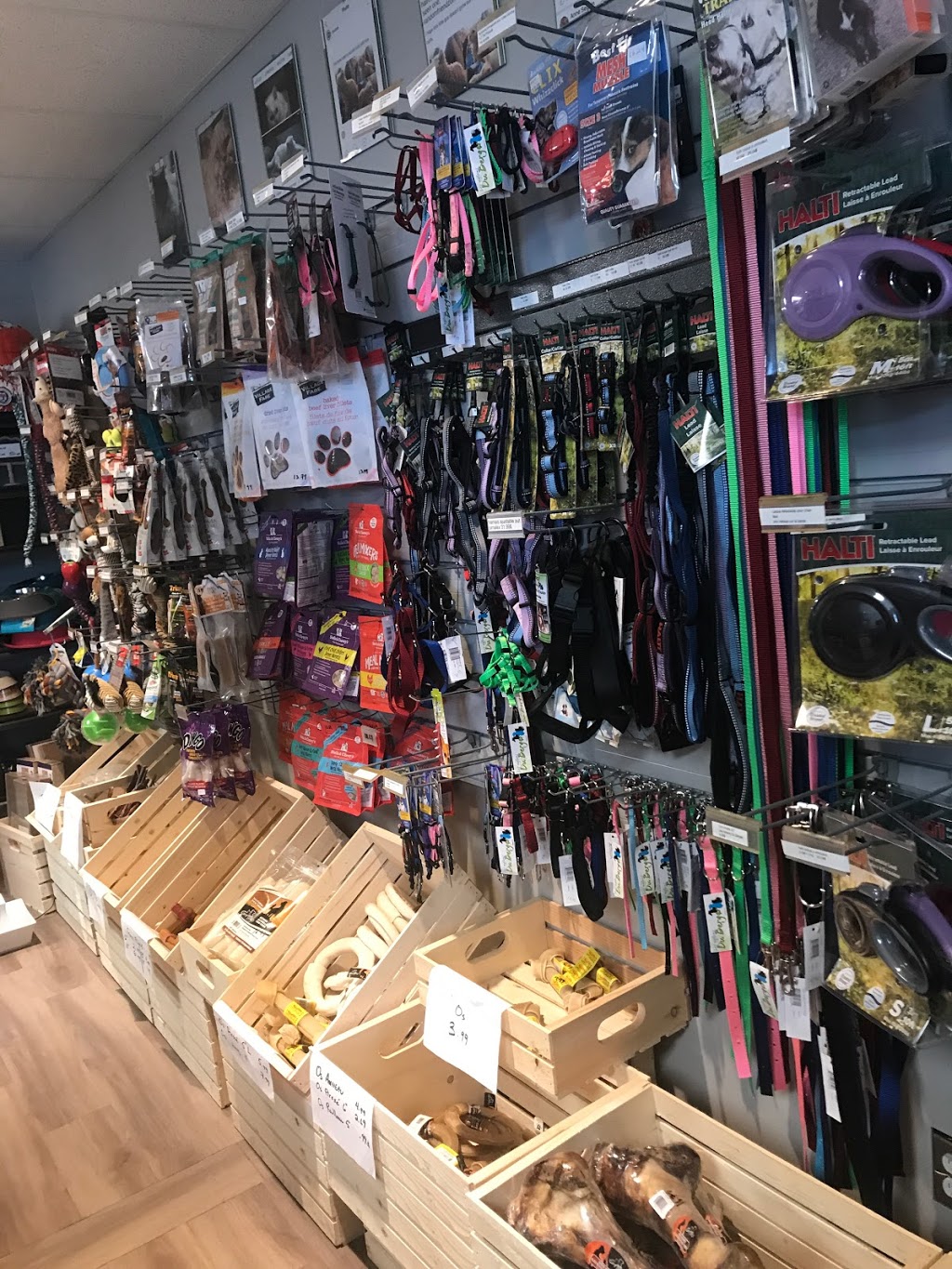 Animalerie Nutri-Pro | 195 Rue de lAtmosphère, Gatineau, QC J9A 0A3, Canada | Phone: (819) 778-8885
