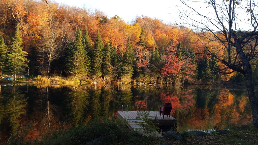 Agence de location LOUER UN CHALET LAURENTIDES | 2229 Chemin du Domaine, Saint-Adolphe-dHoward, QC J0T 2B0, Canada | Phone: (514) 718-4623