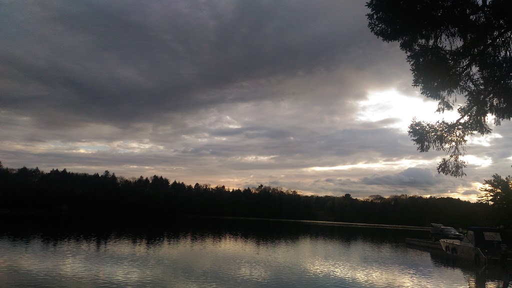 Muskoka Barging | 1130 Milford Bay Rd, Milford Bay, ON P0B 1E0, Canada | Phone: (705) 764-0165