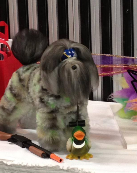 Vals Grooming Spa | 28 S Ram Crescent, Devon, AB T9G 1V4, Canada | Phone: (780) 987-2182