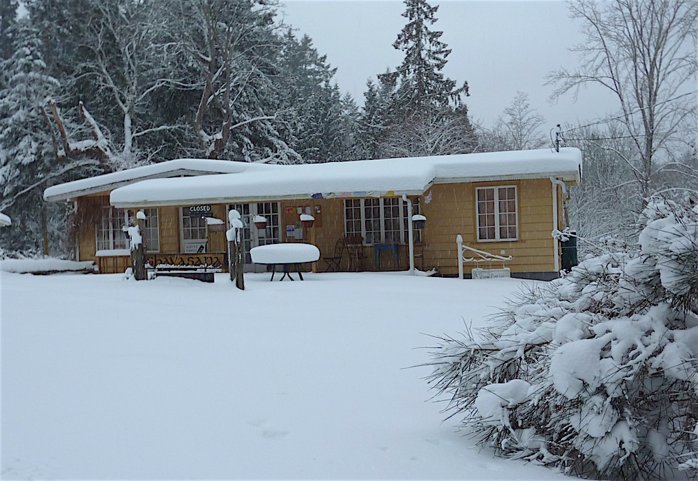 Shavasana Art Gallery & Café | 457 Village Bay Rd, Mayne Island, BC V0N 2J2, Canada | Phone: (604) 418-3846