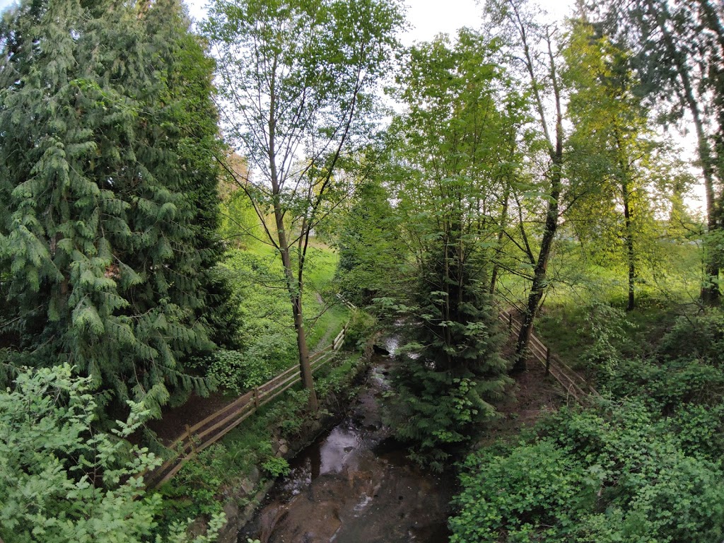 Renfrew Ravine Park | 3900 Renfrew St, Vancouver, BC V5M 2Y2, Canada | Phone: (604) 873-7000