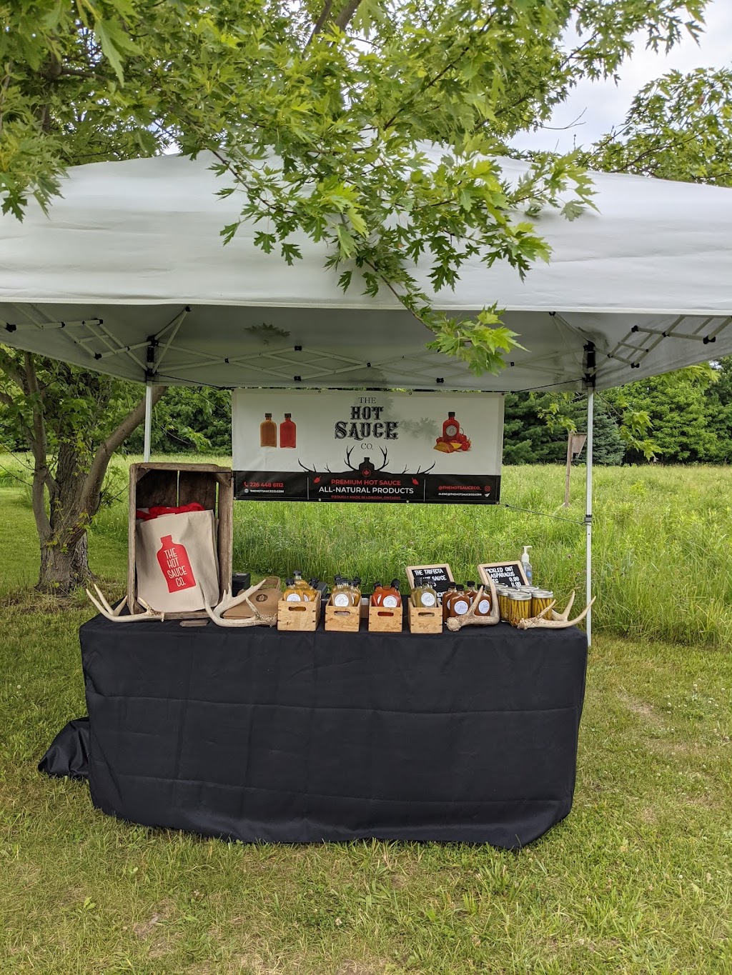 Wildflowers Farm | 42338 Fruit Ridge Line, St Thomas, ON N5P 3S9, Canada | Phone: (226) 926-6432