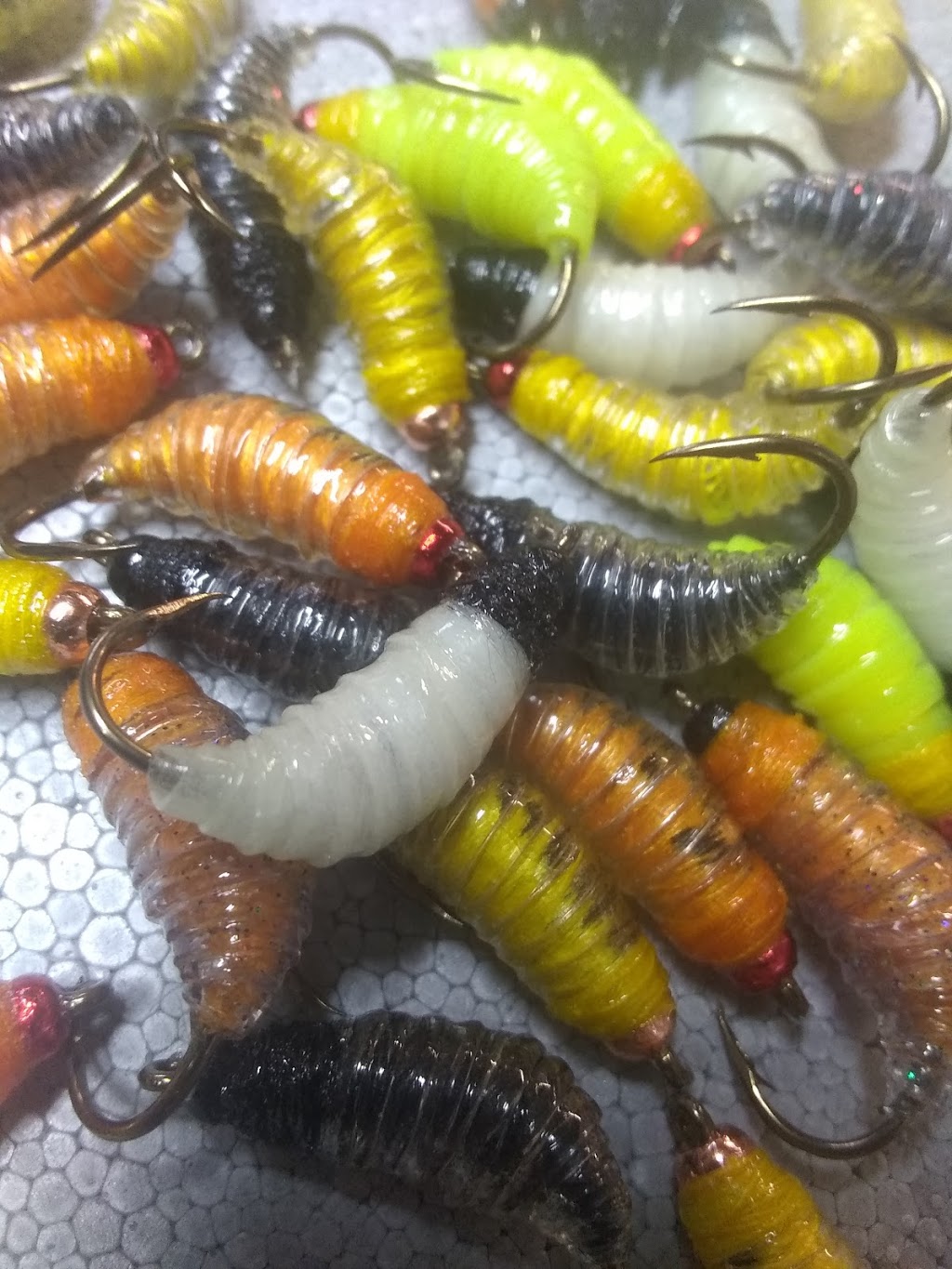 Westend Live Bait | 11B Gordon MacKay Rd, North York, ON M9N 2V5, Canada | Phone: (416) 248-2248