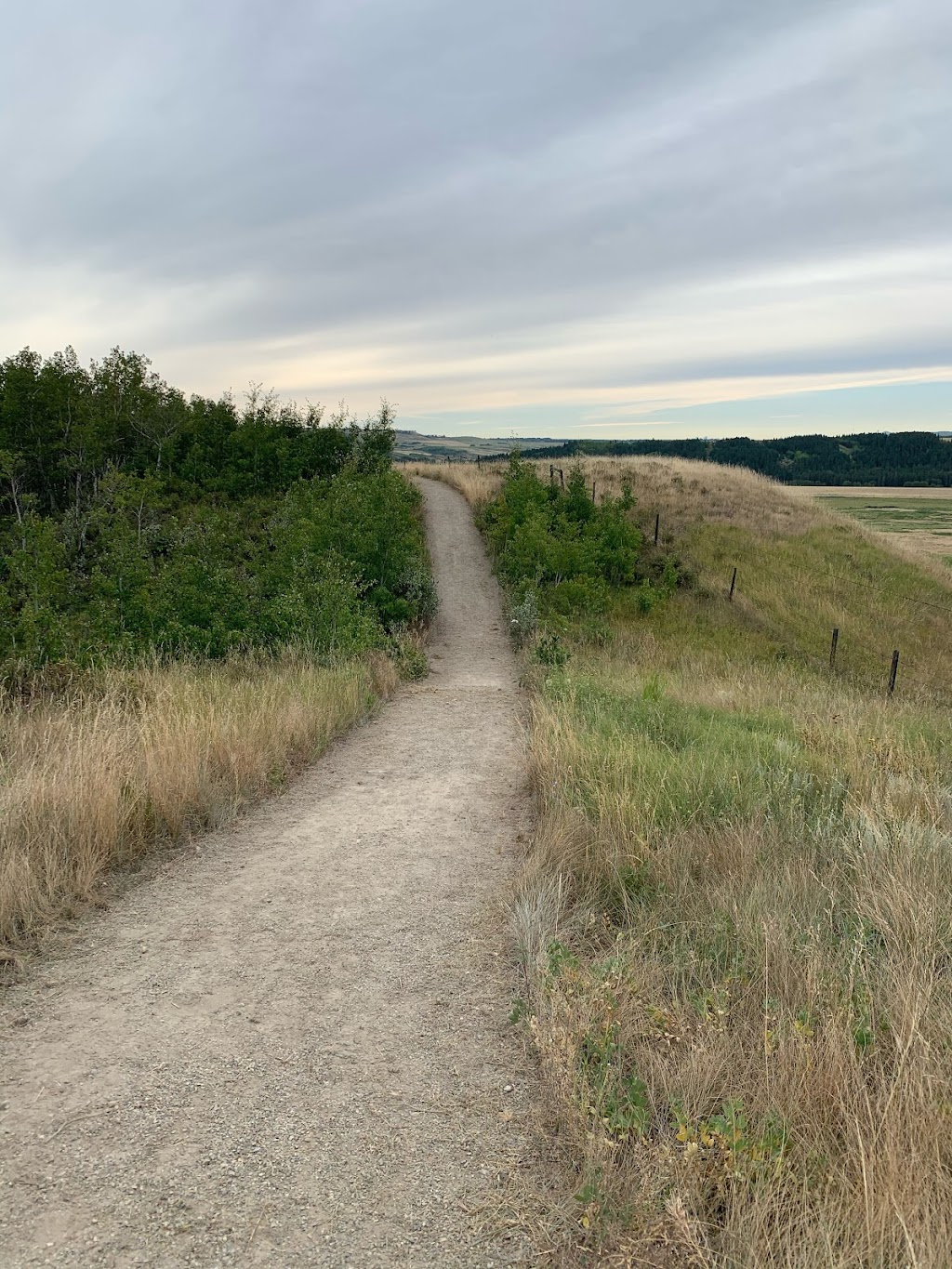 Glenbows Corrals | Unnamed Road, Cochrane, AB T4C 0B7, Canada | Phone: (403) 851-9053