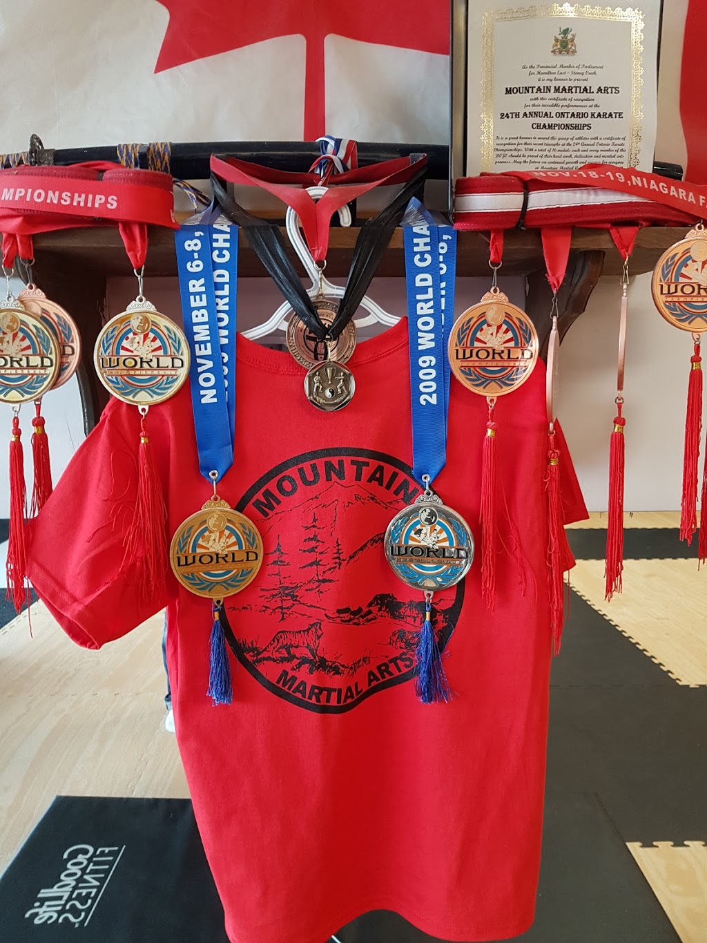 Mountain Martial Arts | 290 Barton St, Stoney Creek, ON L8E 2K6, Canada | Phone: (905) 664-6313