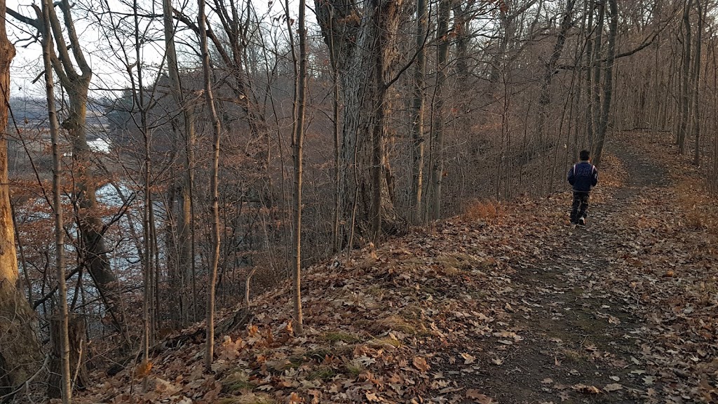 Christie Wildlife Area | White-Tailed Deer Trail, Dundas, ON L9H 5E2, Canada