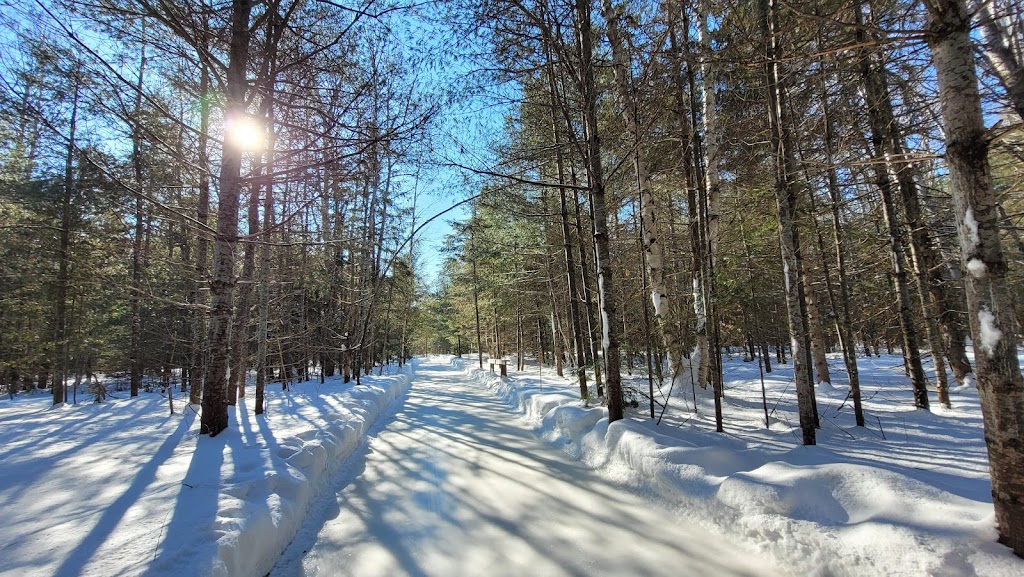 Patinage en forêt | 9 Mnt Beausoleil, Lac-des-Loups, QC J0X 3K0, Canada | Phone: (819) 456-1444