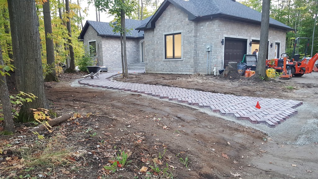 Mr Pest Control | 6 Maplehill Dr, Shanty Bay, ON L0L 2L0, Canada | Phone: (705) 739-7378