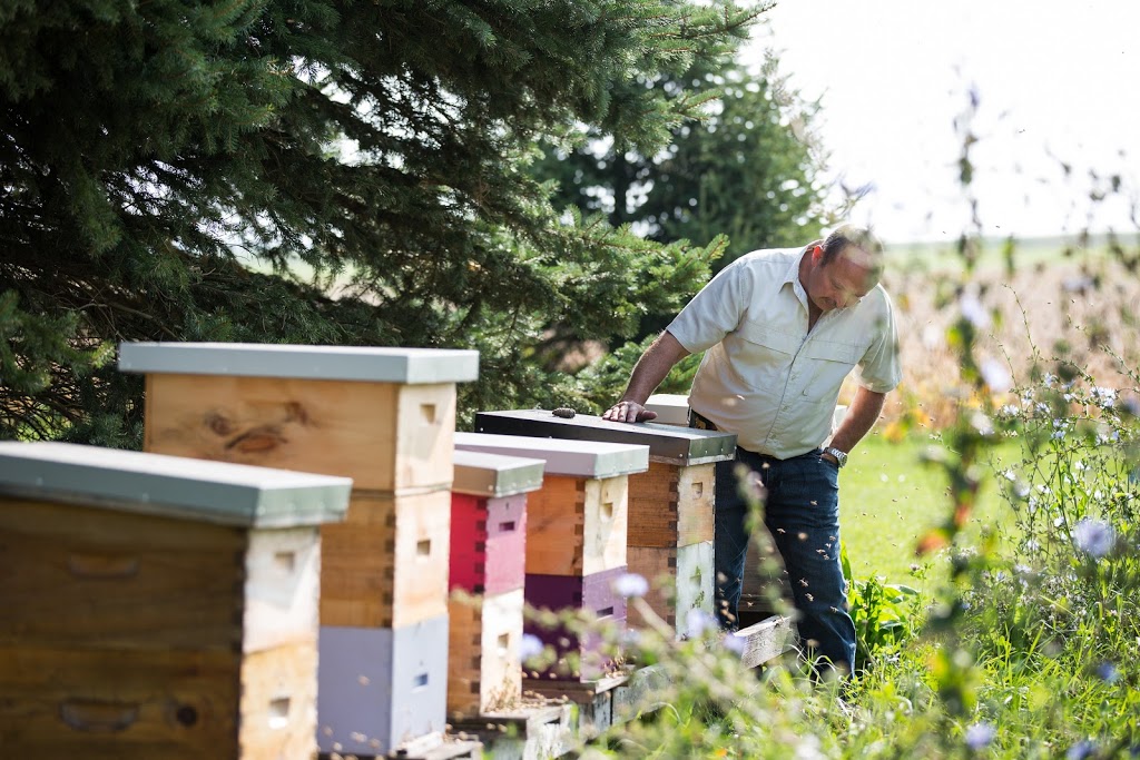 Fred’s Unpasteurized Raw Honey | 9065 Road 167, Gowanstown, ON N0G 1Y0, Canada | Phone: (519) 291-0577