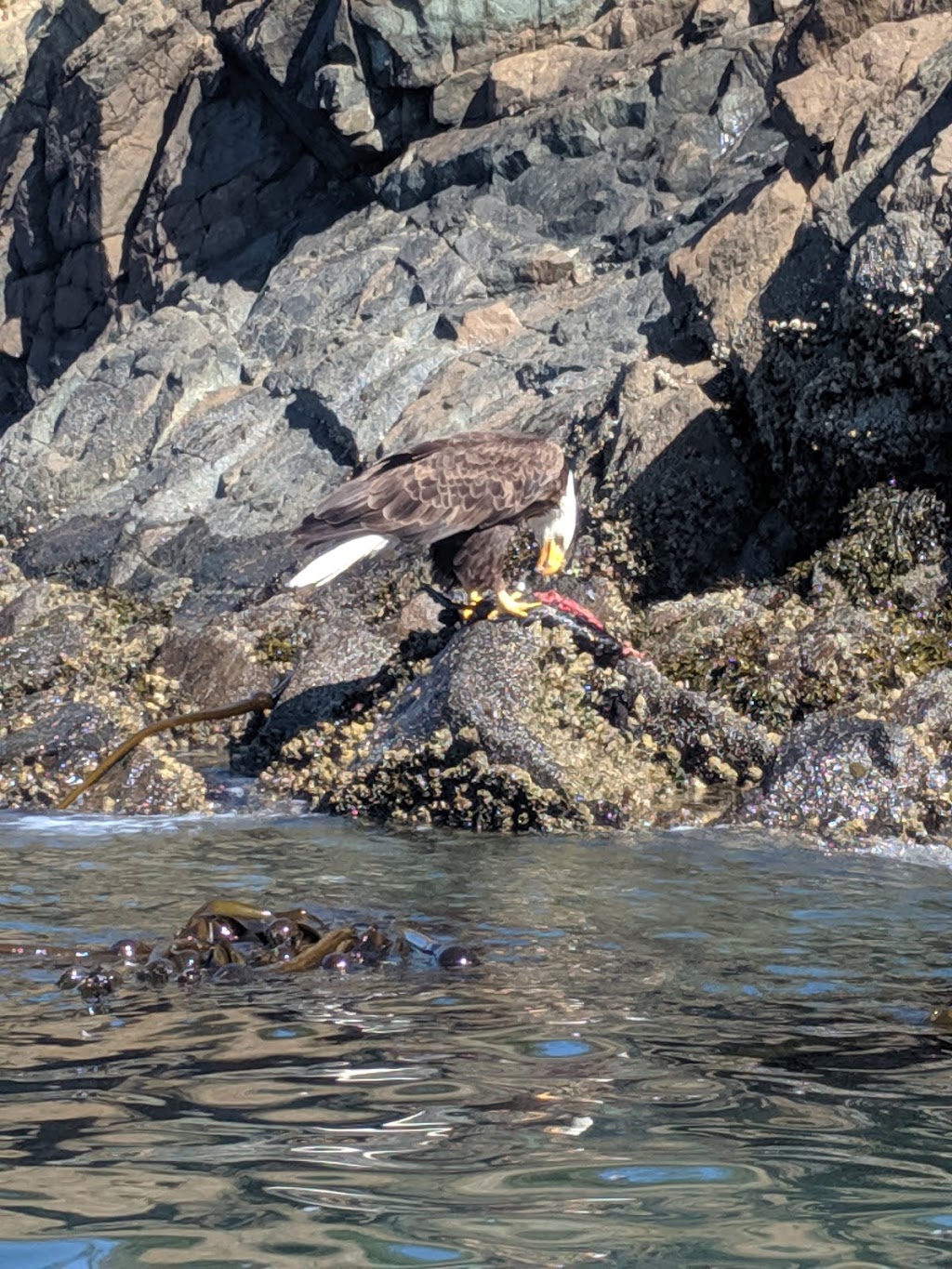 Burrows Island Marine State Park | Anacortes, WA 98221, USA