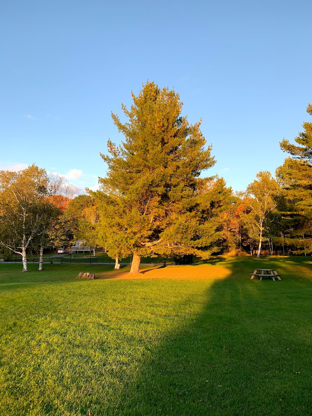 Blue-Water Acres | 1052 Rat Bay Rd, Huntsville, ON P1H 2J6, Canada | Phone: (705) 635-2880