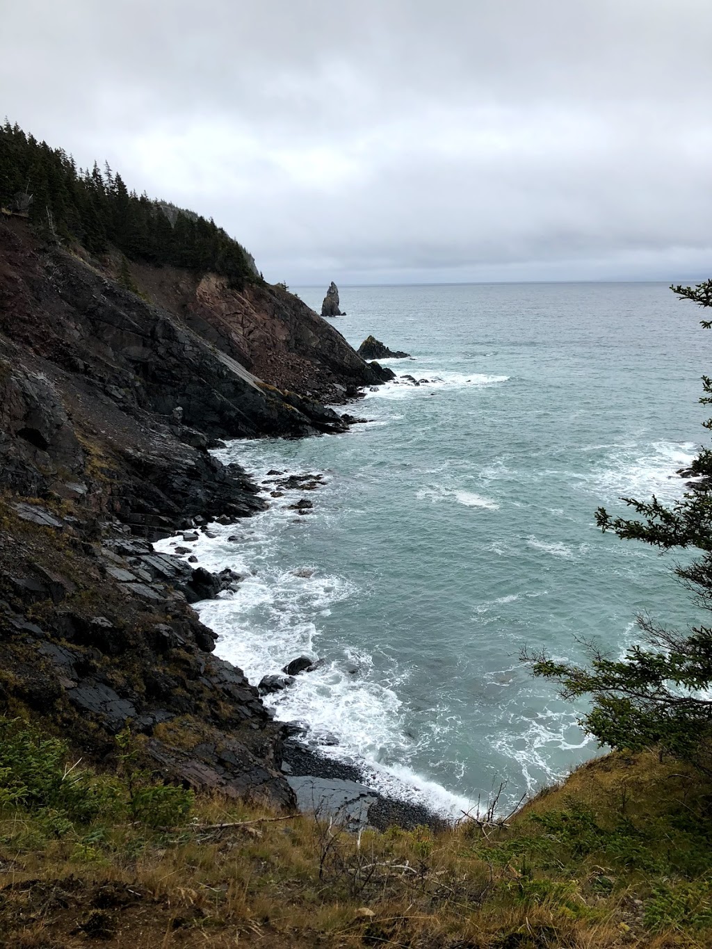 Pirates Path Trail | Mosquito Hill, Harbour Grace, NL A0A 2M0, Canada