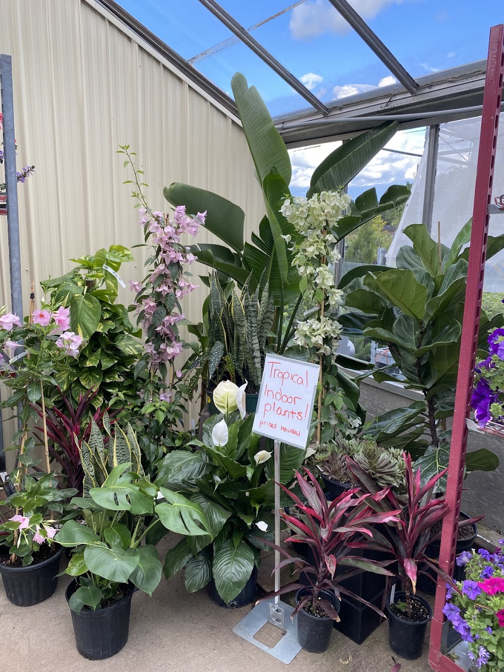 Bloom Green | 9478 Wellington Rd 124, Erin, ON N0B 1T0, Canada | Phone: (519) 833-9313