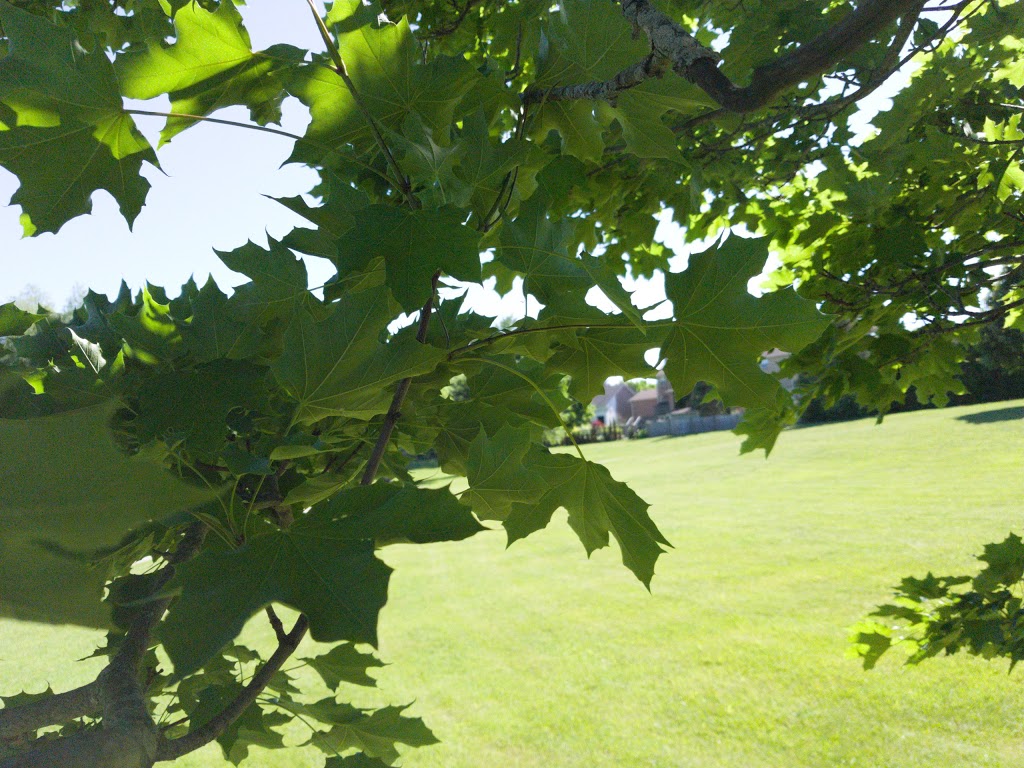 Quaker Common | Quaker Village Dr, Uxbridge, ON L9P 1A6, Canada