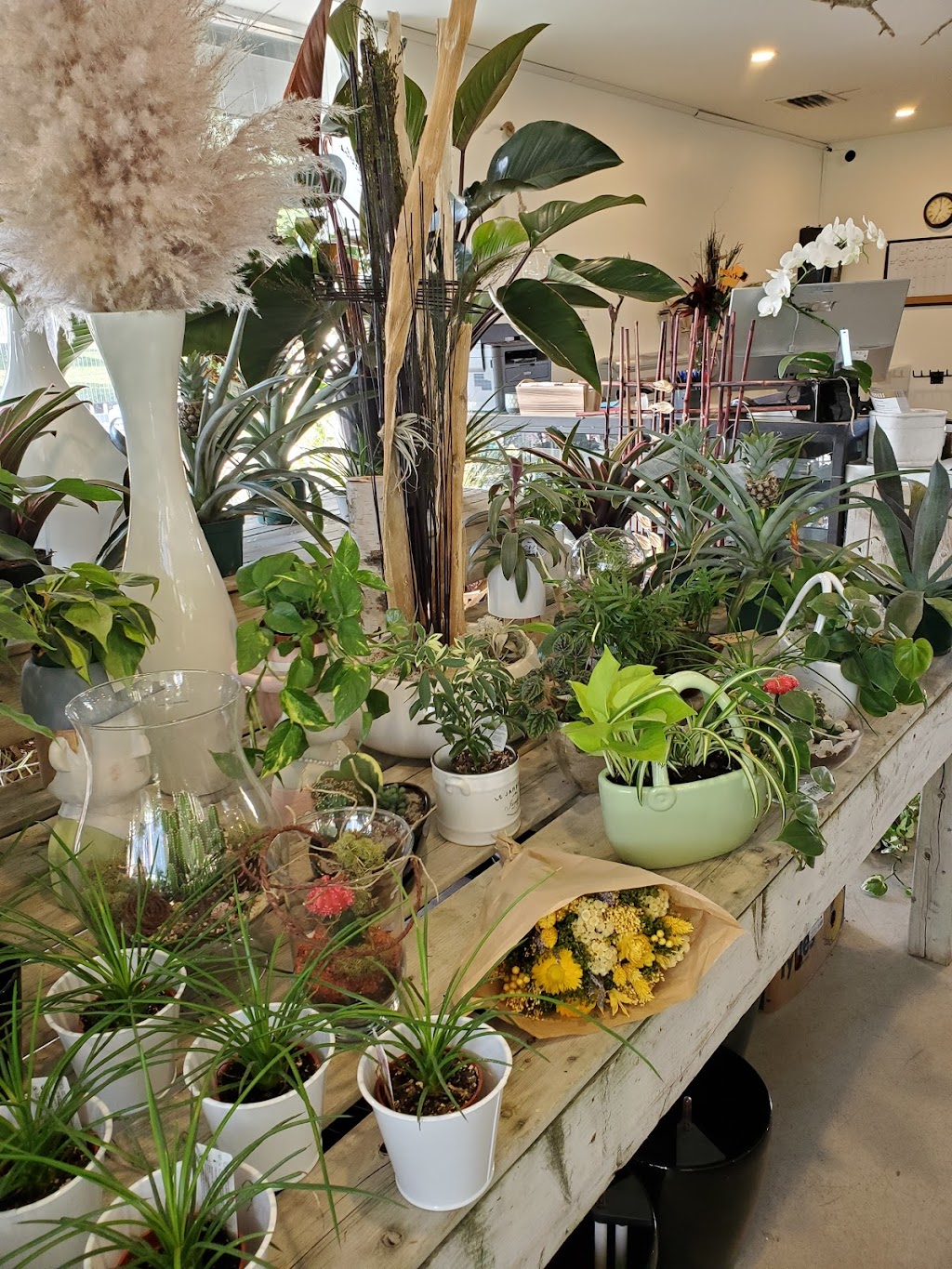 Floresco Kitchener Florist | 204 Tall Grass Cres, Kitchener, ON N2P 2N3, Canada | Phone: (519) 624-8824