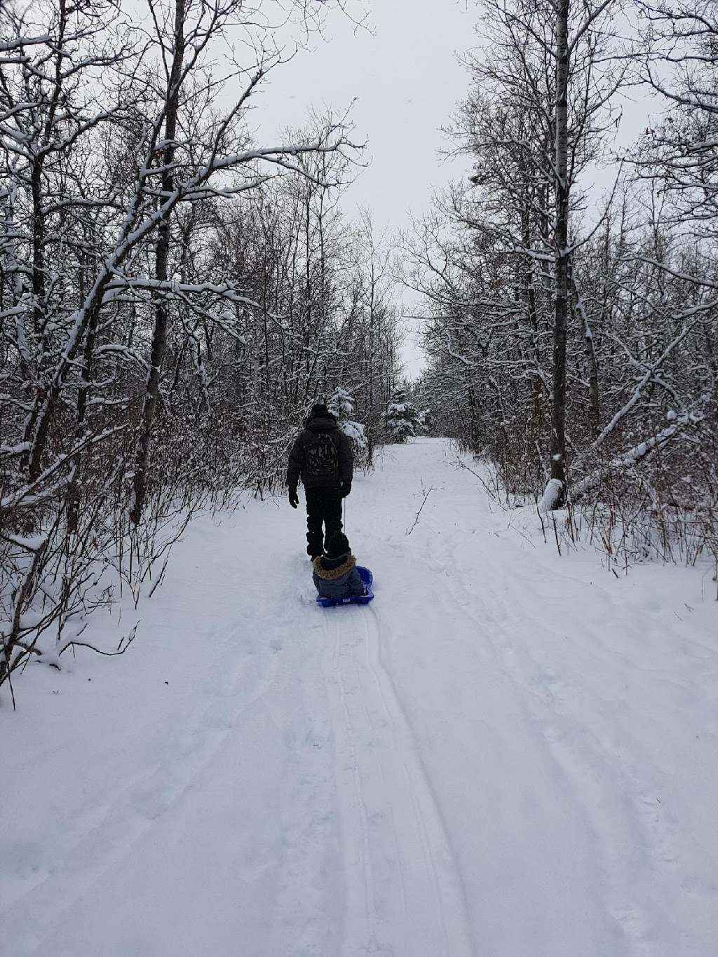 Cedar Bog Trail Trailhead | Birds Hill Rd, Springfield, MB R0E 1J0, Canada