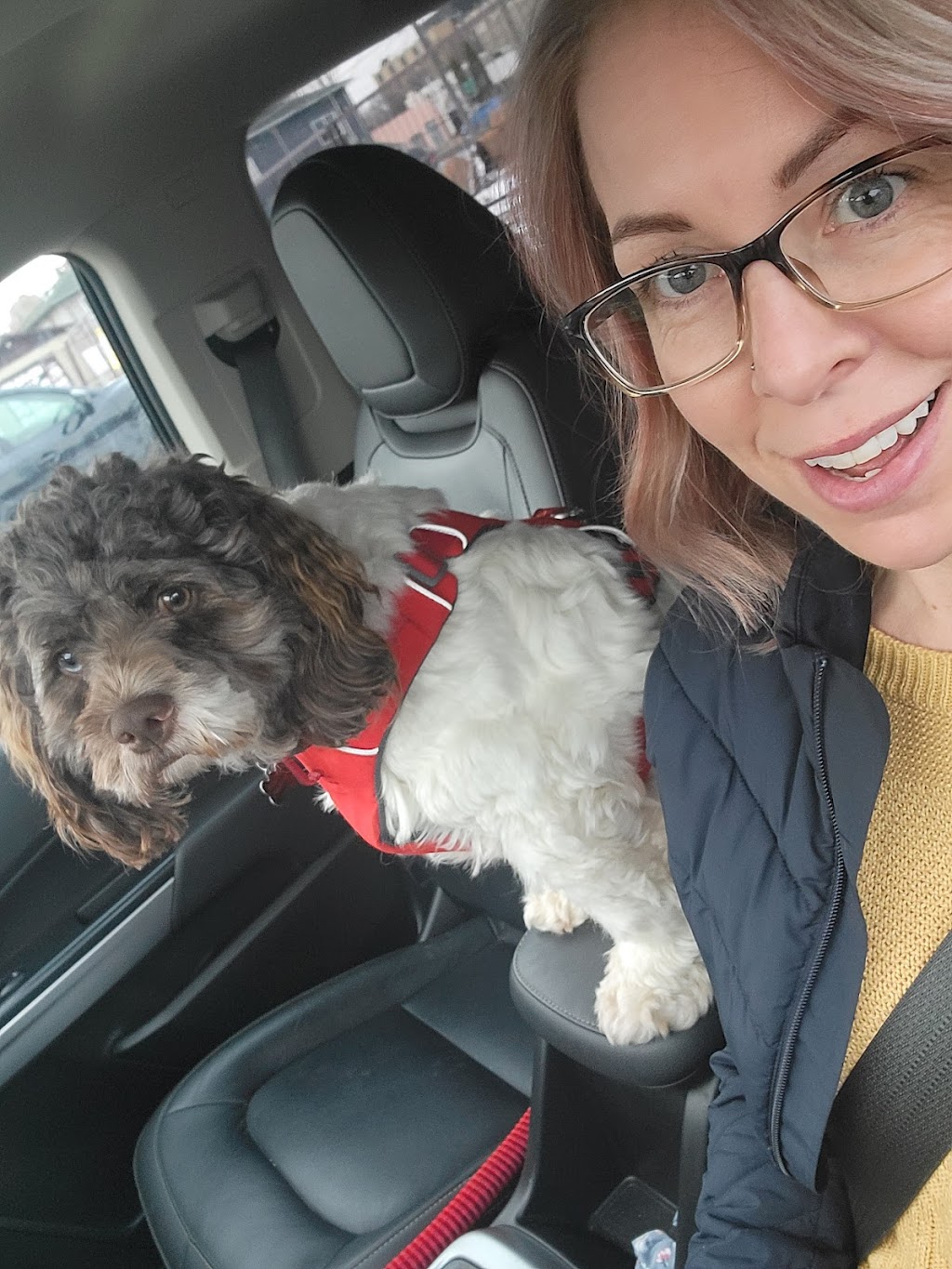 Chinook Dog Centre | 55308 Range Rd 265, Rivière Qui Barre, AB T0G 1Y0, Canada | Phone: (780) 939-5715