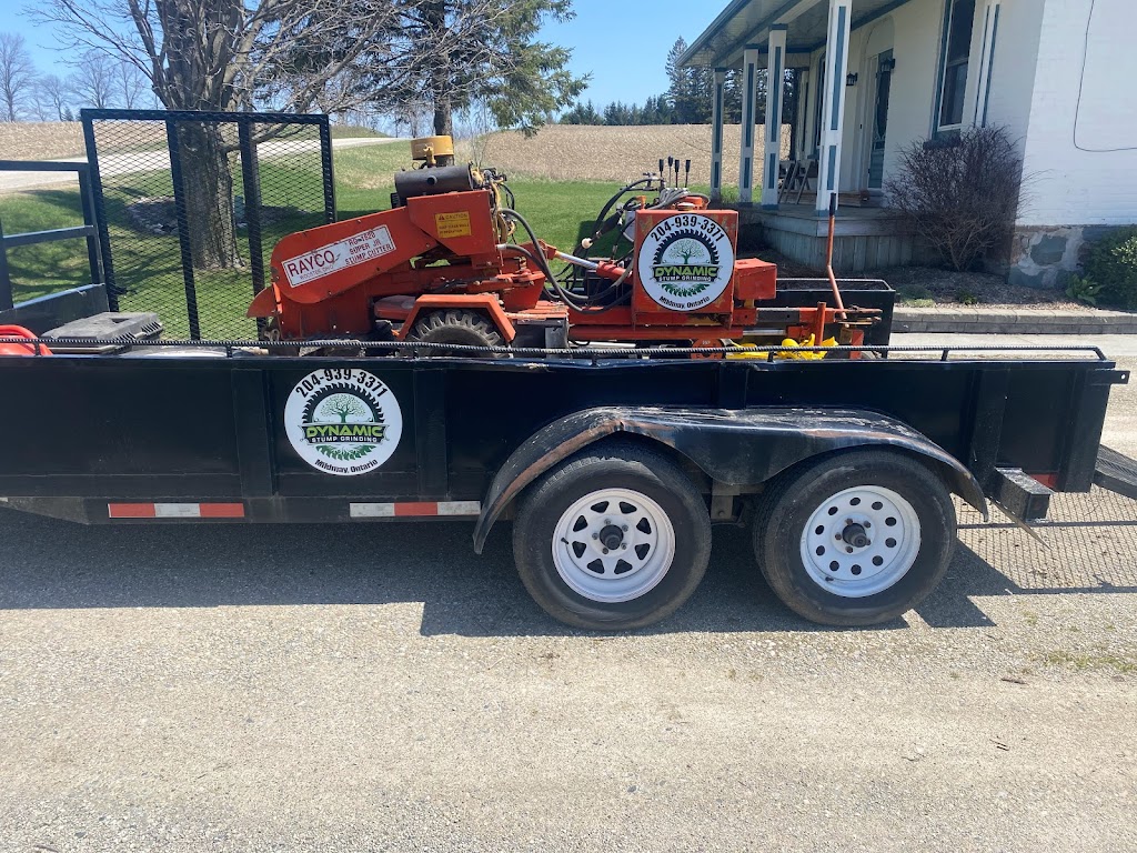 Dynamic Stump Grinding | 9 Dietz St, Mildmay, ON N0G 2J0, Canada | Phone: (204) 939-3371