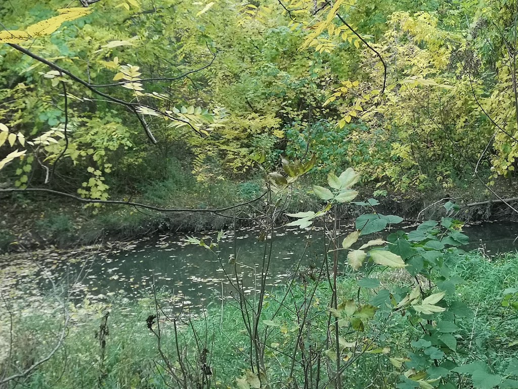 Doncrest Valley | Richmond Hill, ON L4B 3M7, Canada | Phone: (905) 771-8830