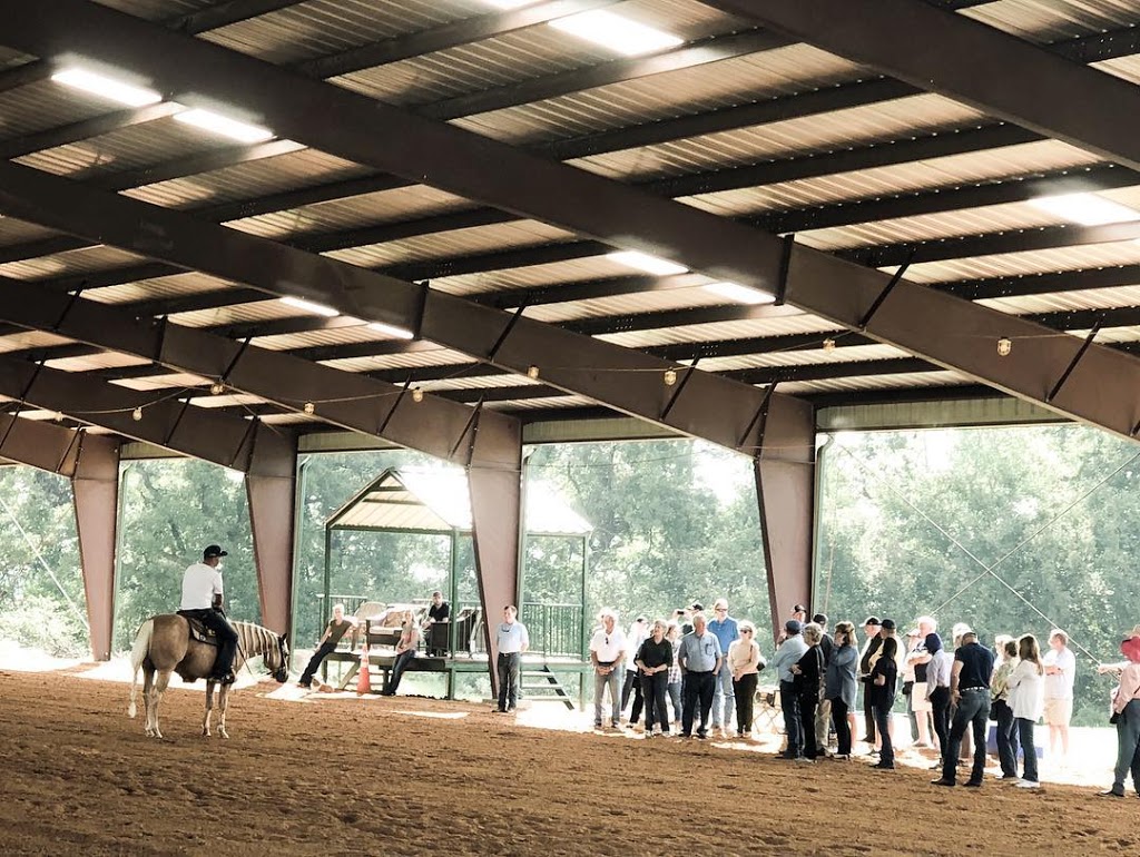 Heule Reining Horses Canada | 1660 Lance Rd, Pritchard, BC V0E 2P0, Canada | Phone: (919) 631-1058
