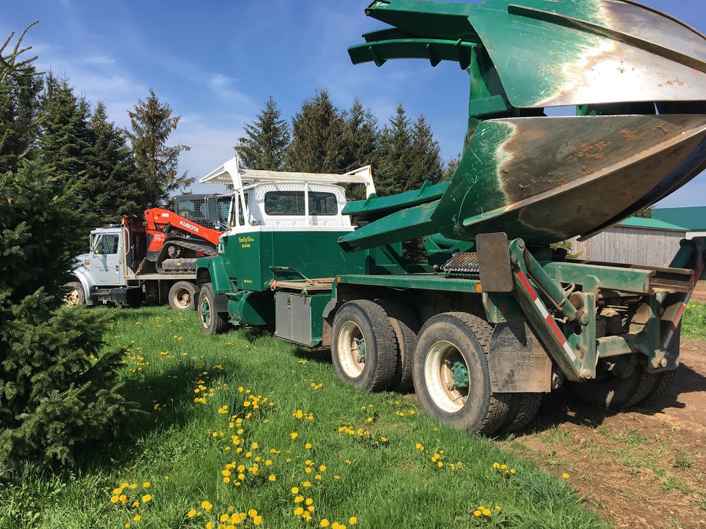 Travelling Trees Ltd | 6144 7 Line, Belwood, ON N0B 1J0, Canada | Phone: (519) 831-6094