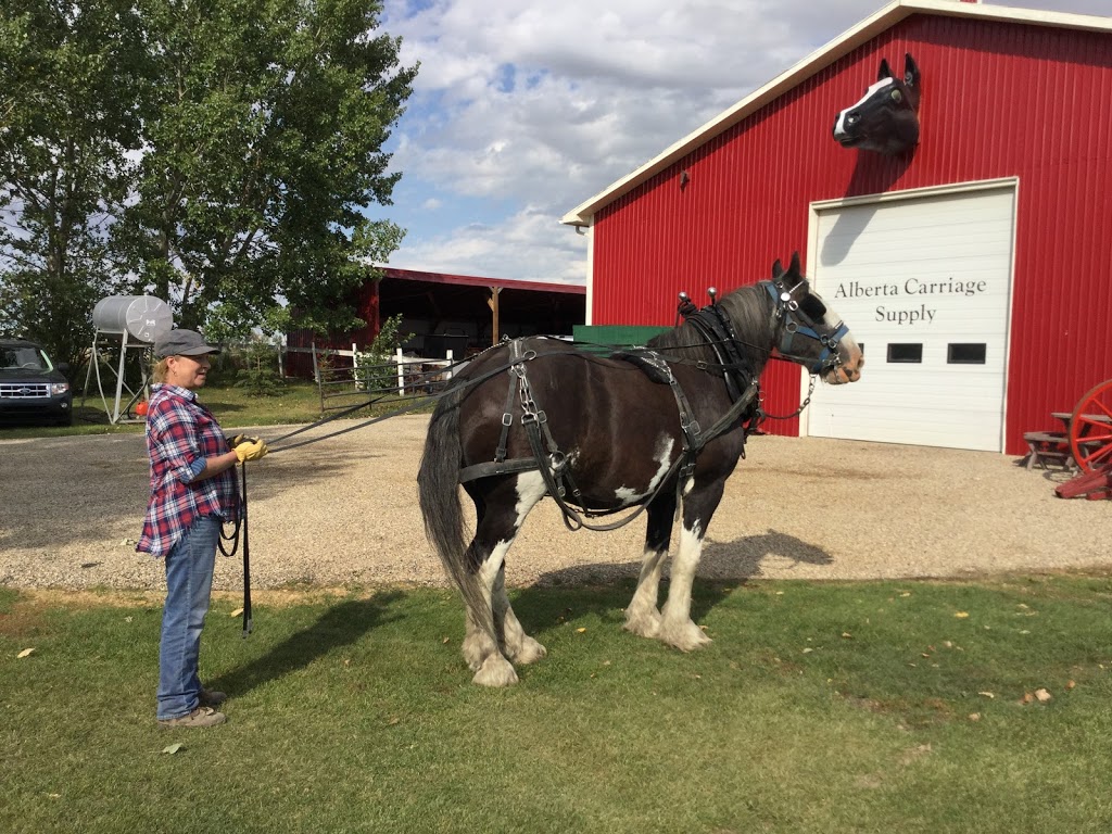 Alberta Carriage Supply | 245220 Range Road 271, Rocky View No. 44, AB T2P 2G7, Canada | Phone: (403) 934-9537